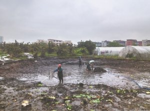 祁县河道鱼塘清淤